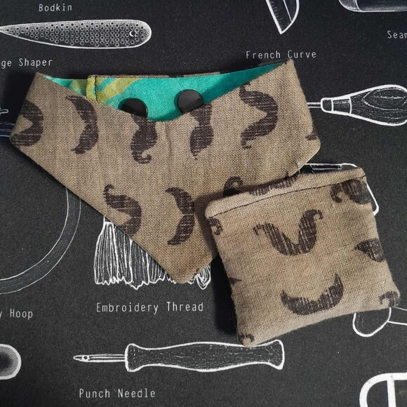 🪡Handmade CATS Reversible Mustache/Green/Blue Bandana and Catnip Pouch Set - Picture 1 of 3